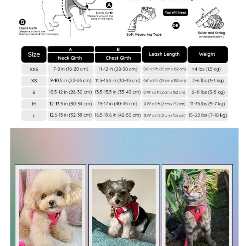 Step In Small Dog Harness Lavender